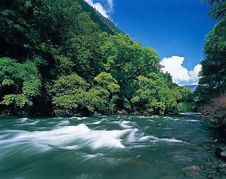 《怪物猎人：荒野》还未发售 已是Steam畅销榜第三名