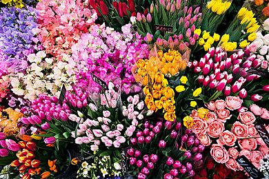 ROG Xbox Ally基础款和三年前的Steam Deck芯片相似