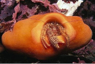 《Hi-Fi Rush》早在微软收购B社前就已经在做了