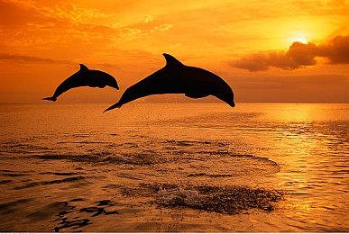 Level Infinite 公布2025科隆游戏展参展阵容